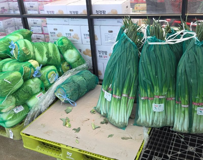 Large wholesale-sized sacks of green onions and cabbages on pallets.