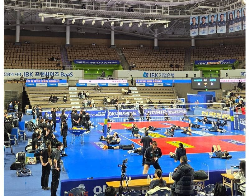 Exciting Korean Volleyball Game live match highlights and cheering culture