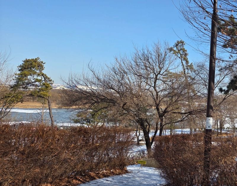 눈 쌓인 평택 내리문화공원 강변 산책로 유모차길