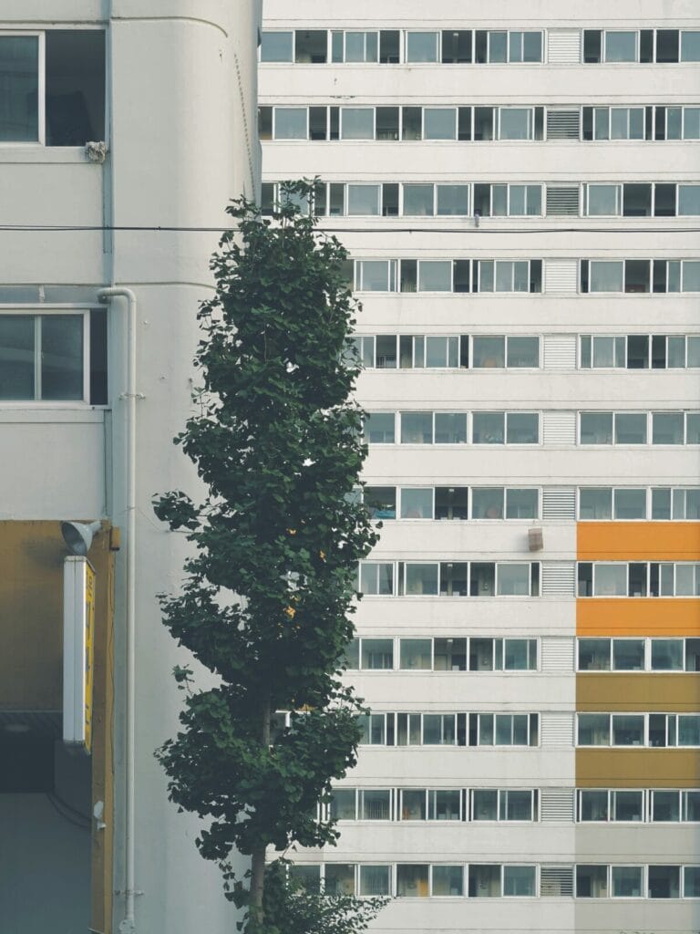 A tall green tree stands in front of a large white apartment building with a grid of windows and yellow accent panels.