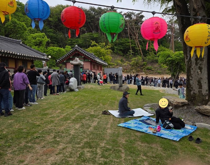 Lotus lanterns hanging outside a temple for Buddha's Birthday