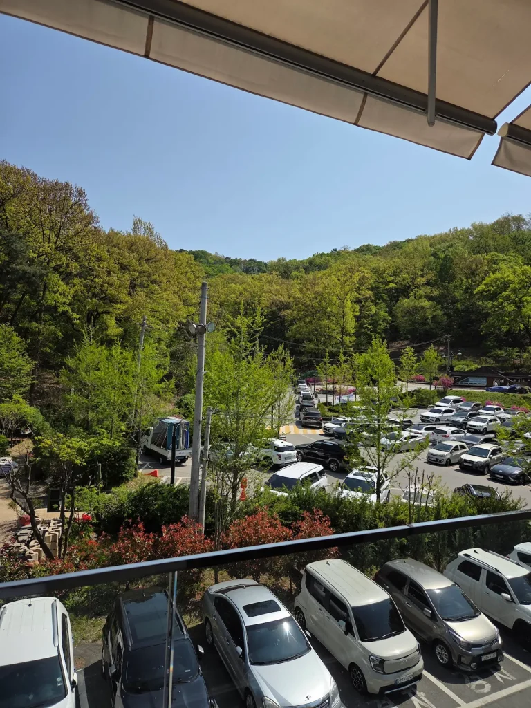 루프탑에서 본 숲과 주차장 뷰