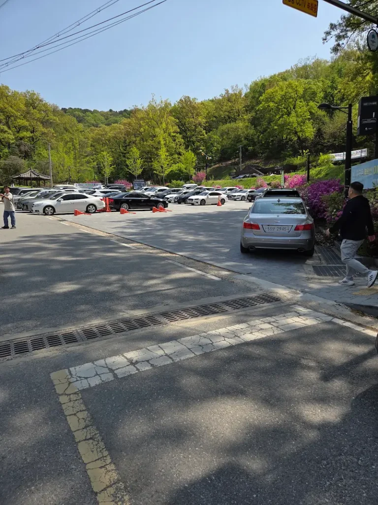 프리퍼 카페의 넒은 야외 주차장