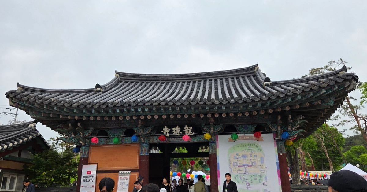 Crowds of people walking through the traditional wooden entrance gate of Yongjusa Temple decorated with colorful lotus lanterns in Hwaseong, South Korea.