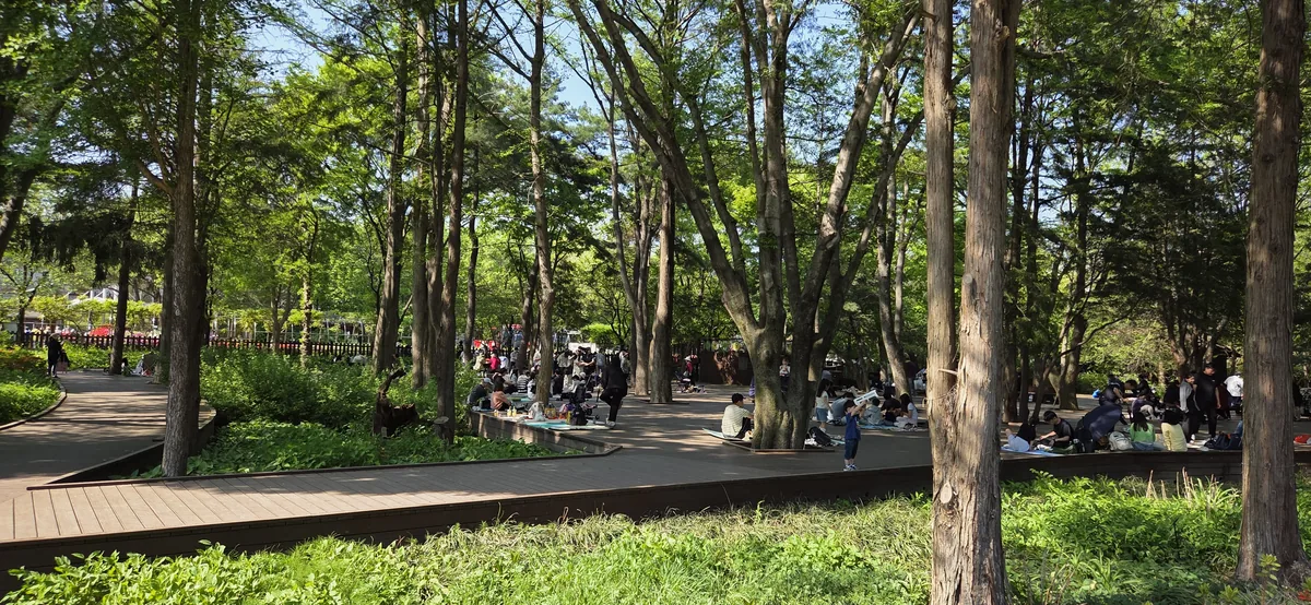 An elevated wooden boardwalk path suitable for a stroller walk at Mulhyanggi Arboretum with a baby.