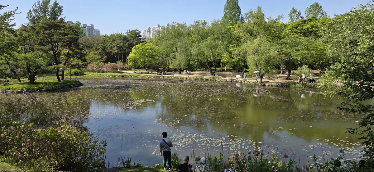 A scenic view of the tranquil water reservoir and forest at Mulhyanggi Arboretum Osan, Gyeonggi-do.