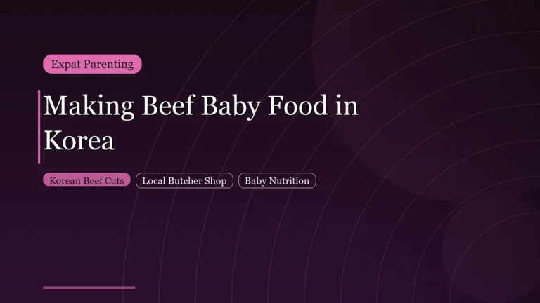 Korean beef baby food guide for expat parents