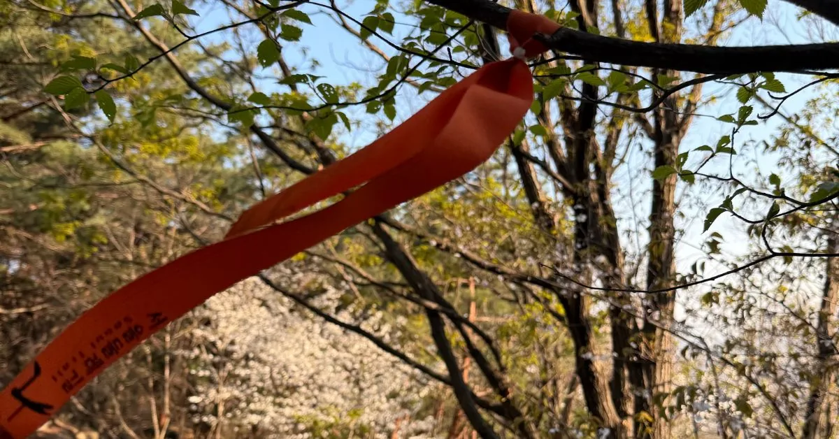 ソウルトゥルレギル2コースの木陰の土道を歩く二人のハイカー。