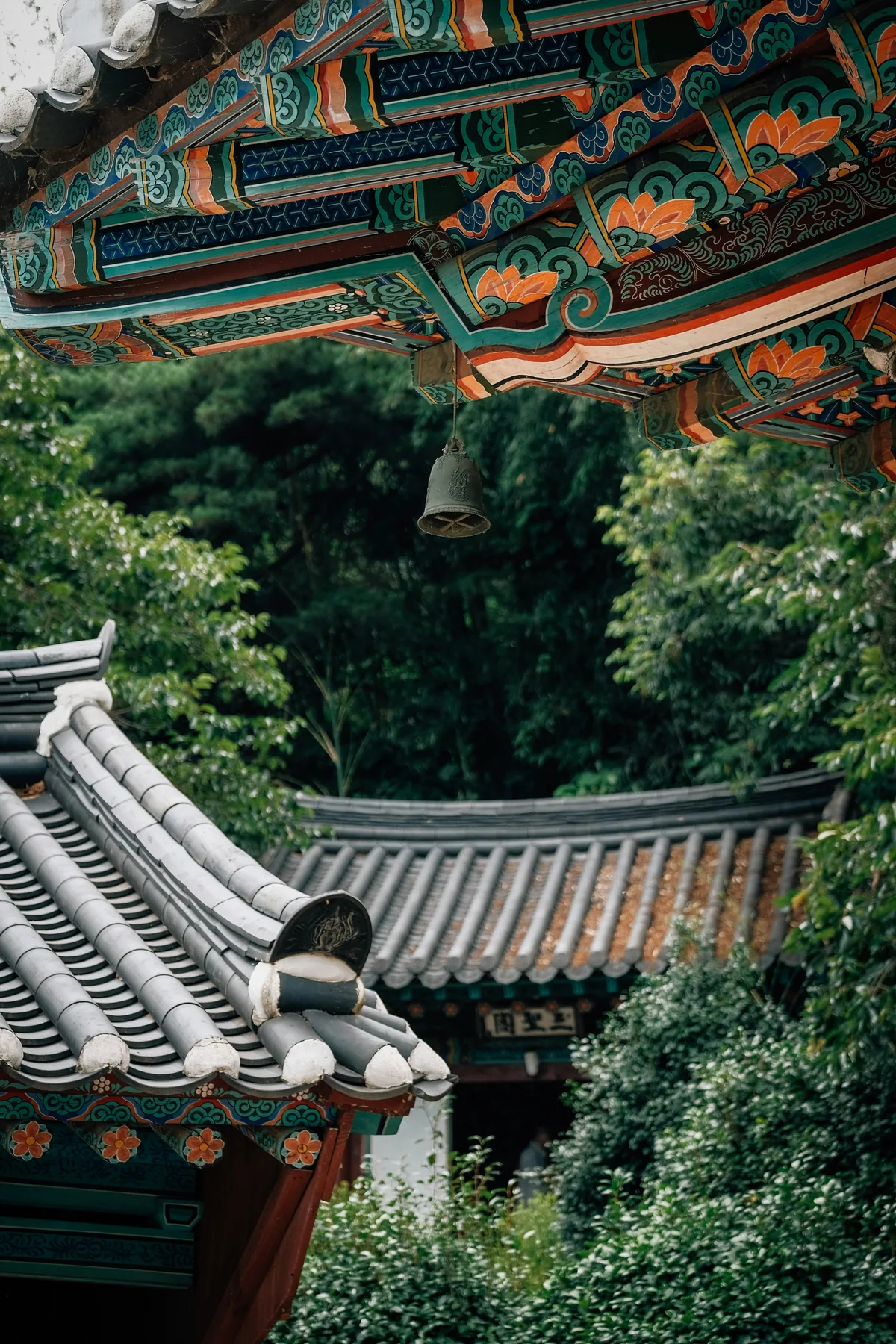 ゴールデンウィークがない韓国の5月の祝日、釈迦誕生日に合わせて飾られた韓国の伝統寺院と色鮮やかなランタン。