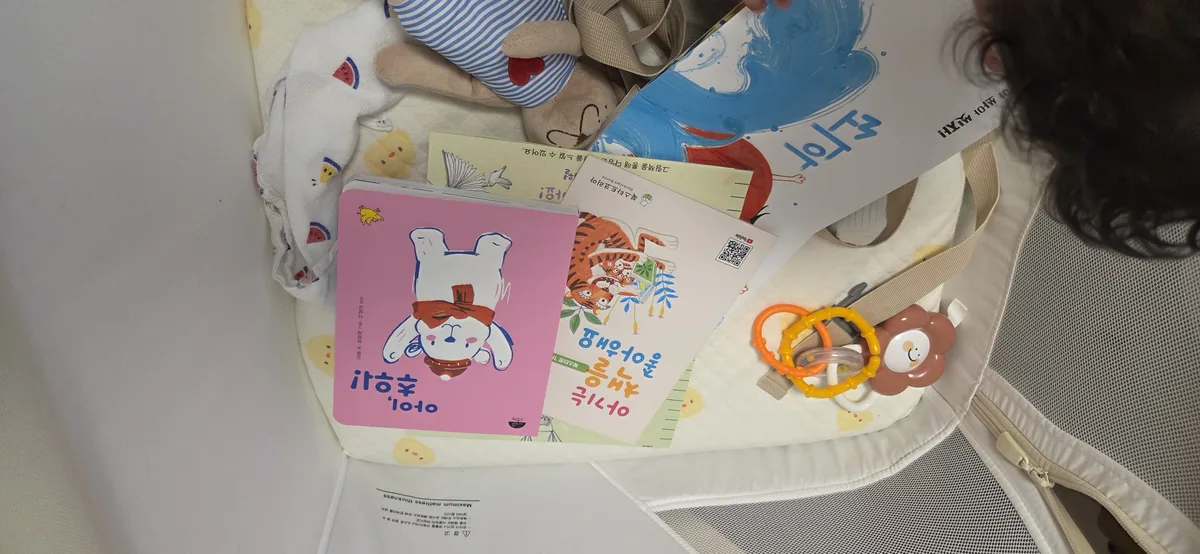 Contents of the Book Start bag, including forms and documents needed for Book Start Korea.