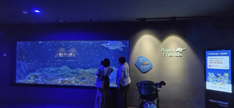 Visitors marvel at the grand entrance, perfect for Aquaplanet Gwanggyo family visit tips.