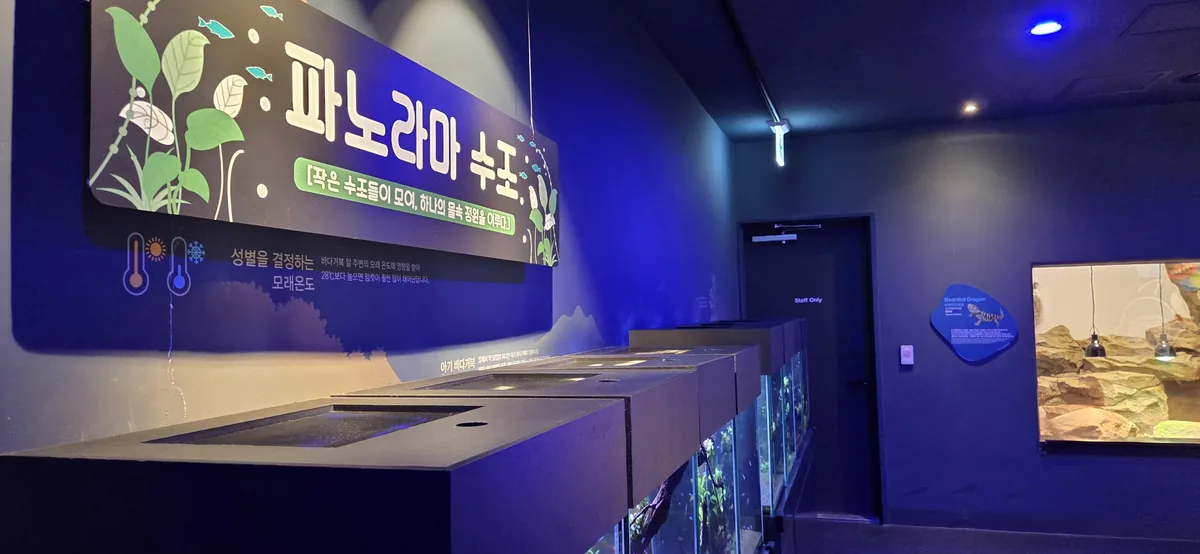 A breathtaking panoramic water tank, perfect for engaging in baby friendly activities Gwanggyo.