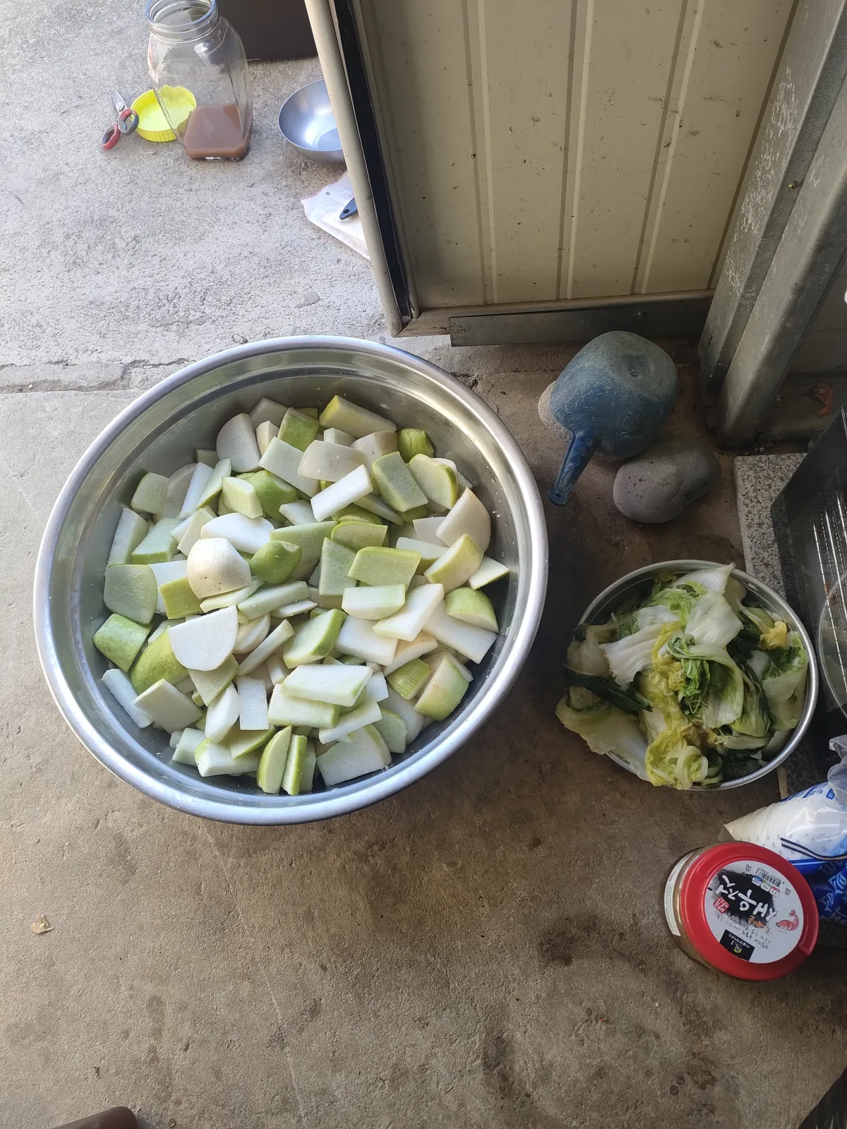 Chopped Korean white radishes and salted cabbage prepared for a kimjang kimchi family tradition expat korea session.