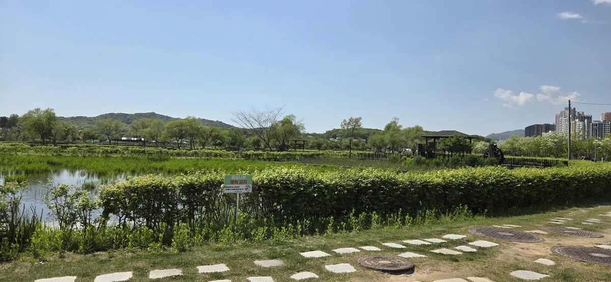 Pristine lake reflecting the clear sky and surrounded by vibrant green foliage at Uiwang Rail Park