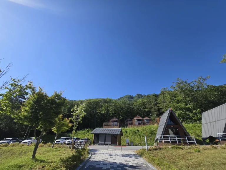 内蔵山生態探訪院の全景。Aフレームキャビンと山を背景に施設全体が見渡せる。