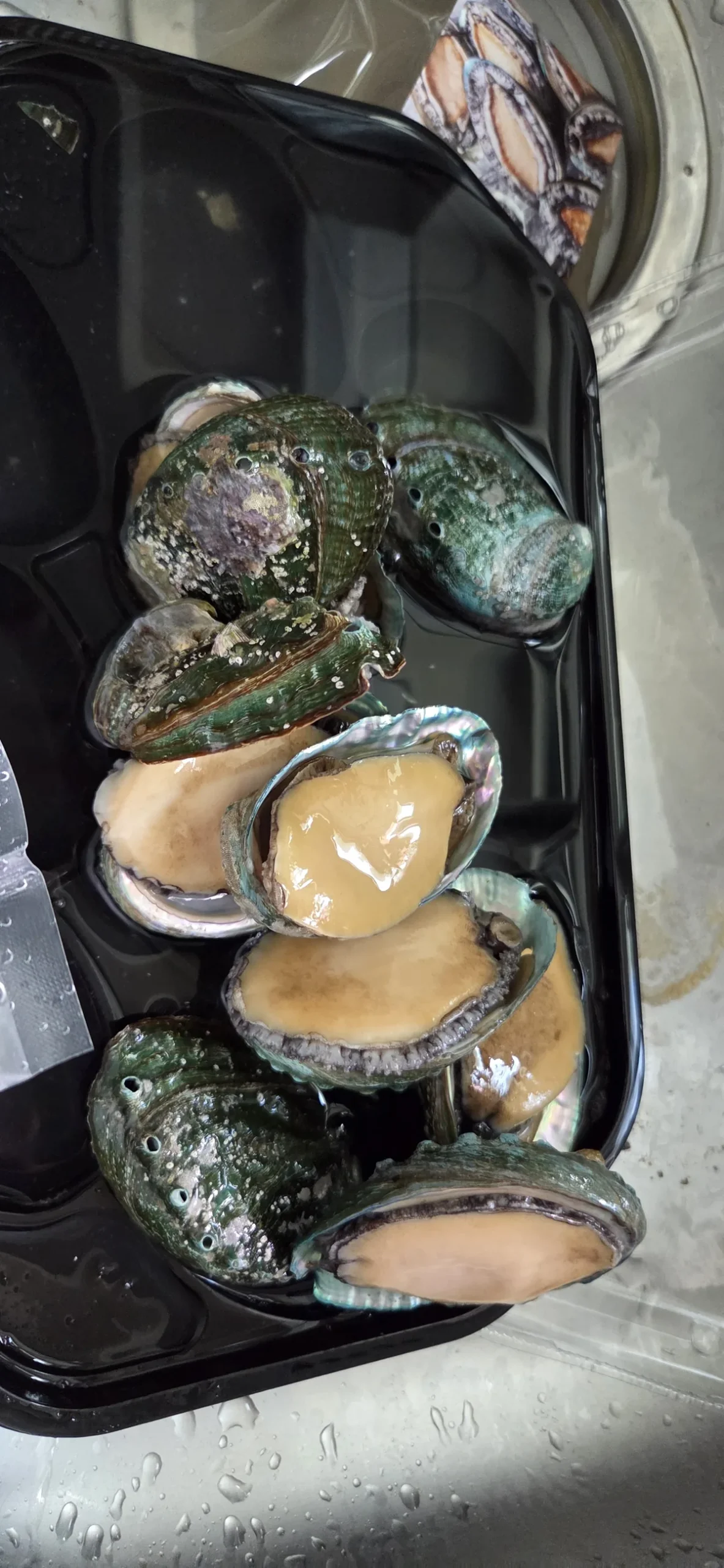 Fresh abalone with green shells arranged in a black container, showing their pale meat.