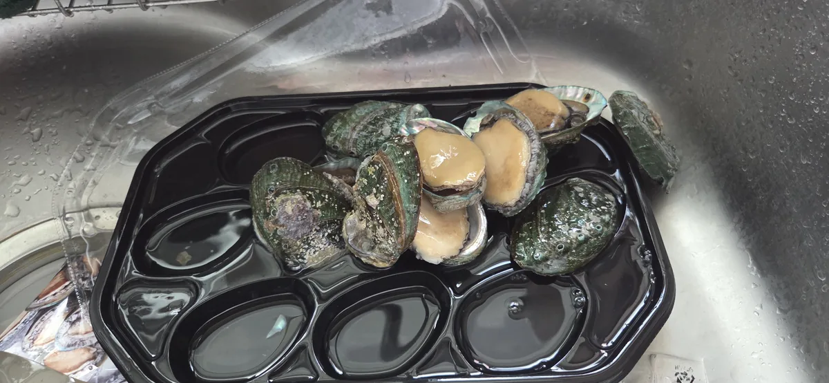 Fresh abalone and other shellfish arranged in a black compartmented tray under running water.