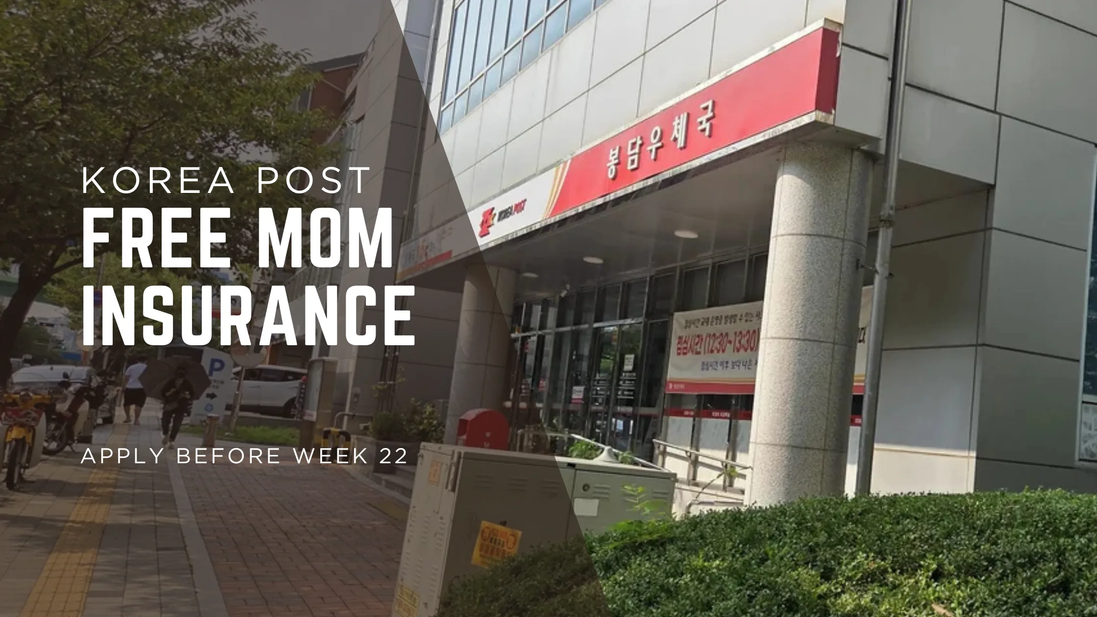 Don’t Miss Korea Post’s Free Pregnancy Insurance — and What Comes Next