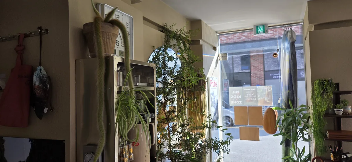 Inside Fullmoon cafe looking toward the front door, with potted plants, a hanging cactus and a wall clock, and the NO KIDS ZONE sign visible in reverse through the glass.